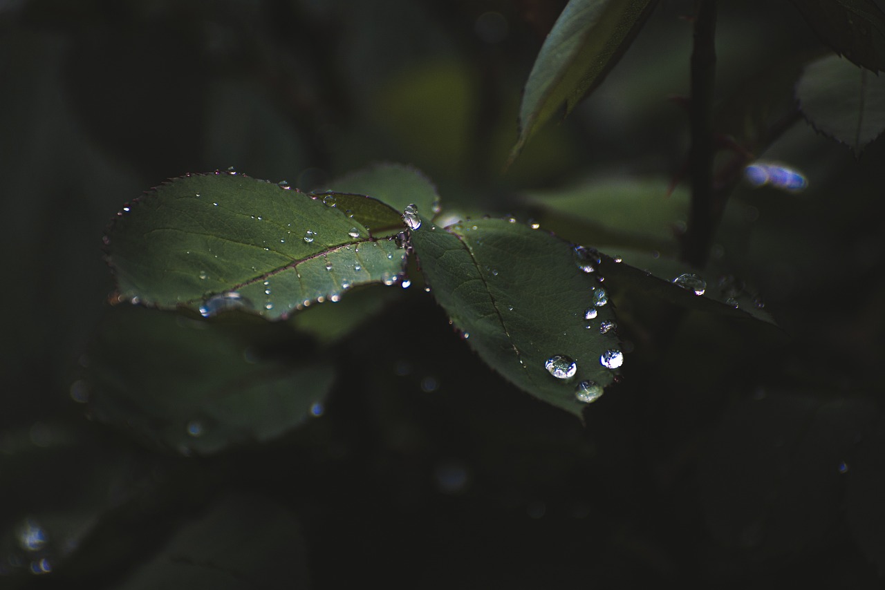 Reflexión #1: Volvamos a La Tierra.